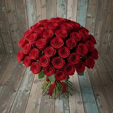 Букет 55 Красных роз Фридом #REPLACE_PRED# Березняки