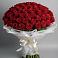 Букет 101 Красная роза Блэк Мэджик в Березняки