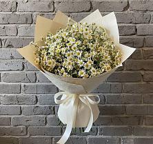 Букет цветов из:  Ромашки в Березняки