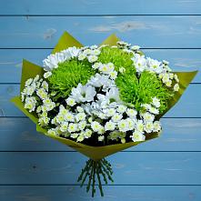 Букет цветов из:  Хризантемы #REPLACE_PRED# Березняки