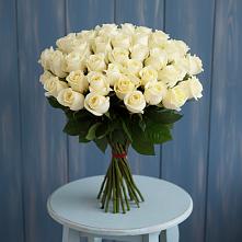 Букет 51 Белая роза Эдлесс Лав #REPLACE_PRED# Березняки