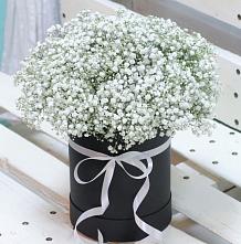 Цветочная композиция из Гипсофила в шляпной коробке #REPLACE_PRED# Березняки