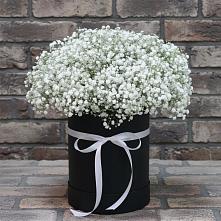 Цветочная композиция из Гипсофила в шляпной коробке #REPLACE_PRED# Березняки