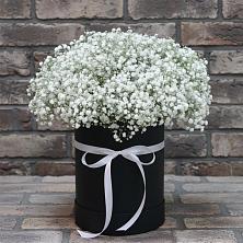 Цветочная композиция из Гипсофила в шляпной коробке в Березняки